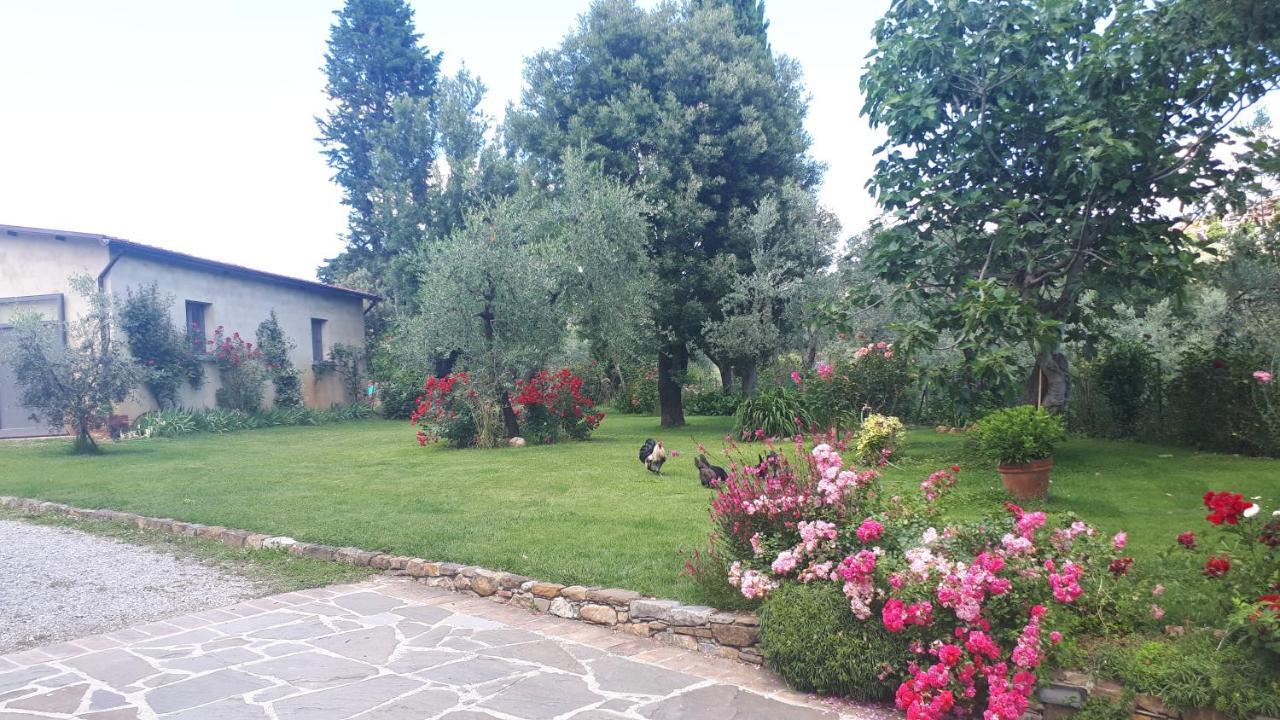 B&B L'Oliveto Лучиняно Екстериор снимка